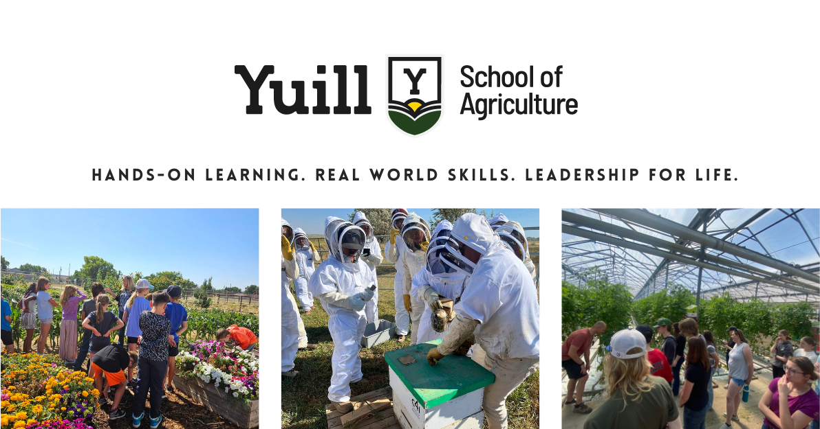 yuill SOA header