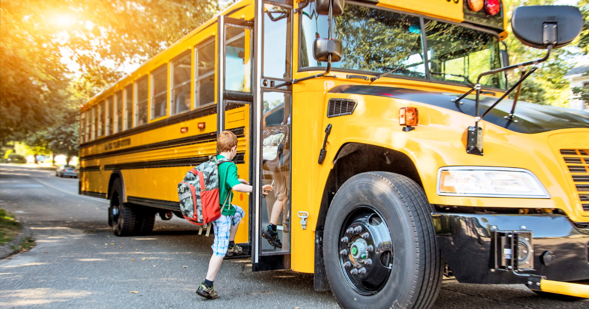 Bus Routes NEWS