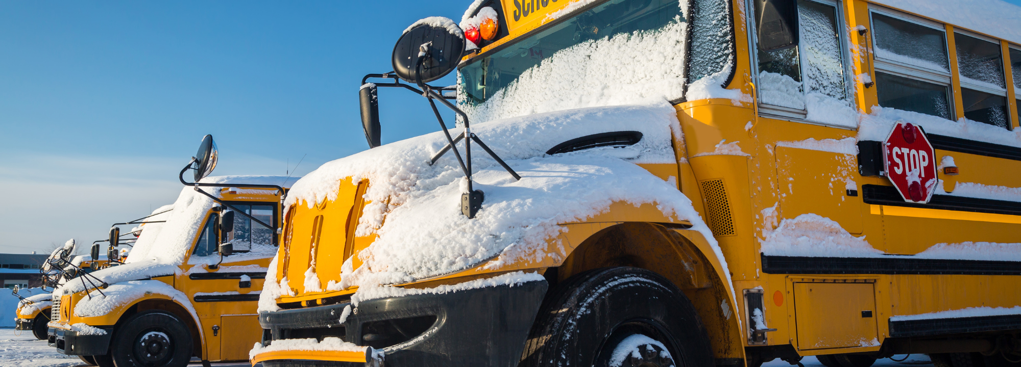 Bus-Cancellations